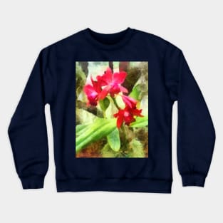 Maroon Cattleya Orchids Crewneck Sweatshirt